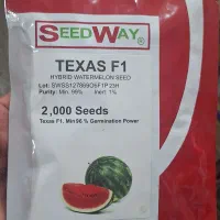 بذر هندوانه تگزاس TEXAS F1