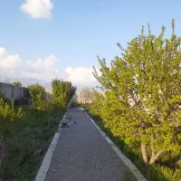 باغ ویلا