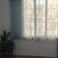 پرده و چوب پرده