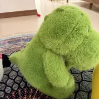 تعدادی عروسک پولیشی