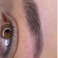 مدل رایگان ،ابرو (کار توسط مربی )