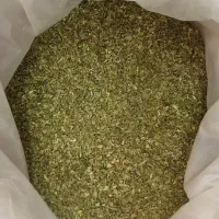 شوید و نعنا به قیمت عمده