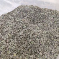 آویشن