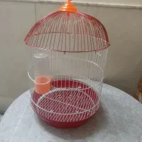 قفس پرنده