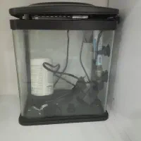 آکواریوم کوچیک