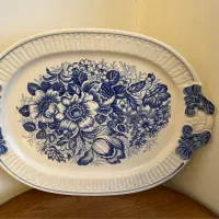دیس ژاپنی