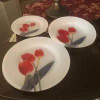 پلو خوری پیشدستی و خورش خوری