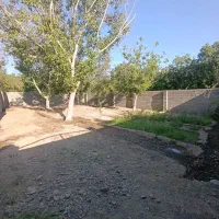 باغ گردو