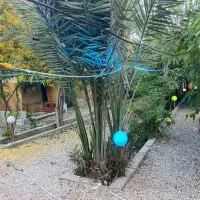 باغ رستوران کوچه باغ