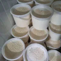 لبنیات ماست و دوغ و شیر