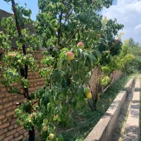 ویلا باغ صوفیان دارای برق و گاز و آب در ویلاسرا