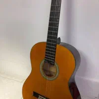 گیتار AK20 Arya