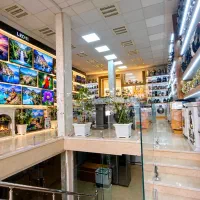 جشنواره تخفیف ال ای دی دوو اسنوا تی سی ال۶۵اینچ