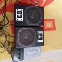 یک جفت باند خونگی