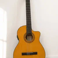 گیتار Walden N350 الکترو آکوستیک