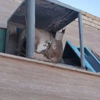 کولر آبی