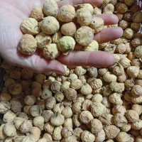 انجیر تازه امسال