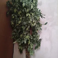 گل مصنوعی سالم