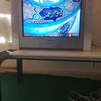 تلوزیون