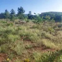 زمین-باغشهری