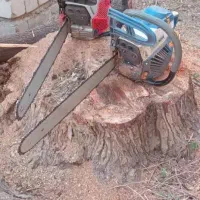 برشکاری و قطع درختان با اره بنزینی