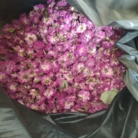 گل محمدی خشک شده