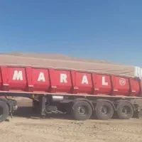رفسنجان کودمرغی