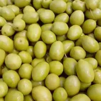 زیتون ترشیجات شوریجات
