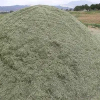 فروش 300 کیلو یونجه محلی کیلویی 40 هزار