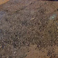 زمین 100متری