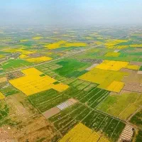 ۲ هکتار زمین آینده دار/ کاهو / افشین