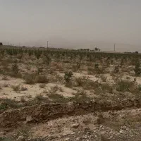 باغ پسته - کردوان