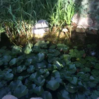 ویلای ۱۰۰۰مترمهرشهر کرج فاز۳ شهرک برند