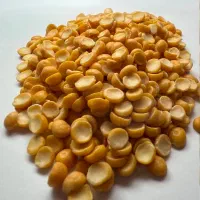 بازرگانی نوژان