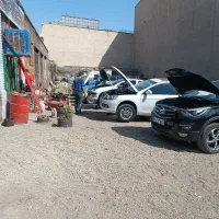 صافکار و نقاش ماهر