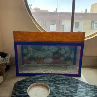 آکواریوم