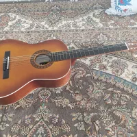گیتار ایرانی