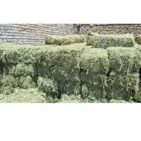 فروش پرس شبدر  چنه سوم حدود ۱۸۰عدد