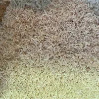 پوشال چوب