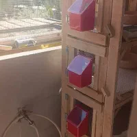 شیش جفت کفتر با جفت کن