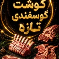 قصاب و فیله کن مرغ و ماهی