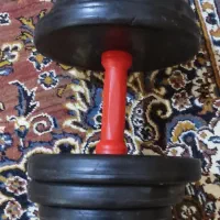 دمبل