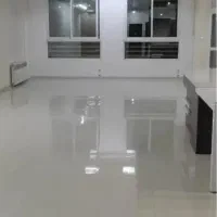 همخونه-هم-خانه