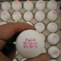 جت پرینتر تخم مرغ کارتریجی و cij(اتوماتیک)