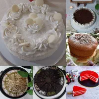 ۲ روز تا حرفه‌ای شدن(اموزش‌کیک‌های‌کافیشاپی)