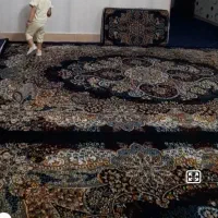 دوتا فرش شش متری ۷۰۰ شانه در حد نو