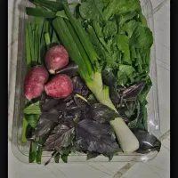 سبزی آماده،با بهترین کیفیت‌
