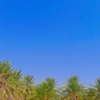 خونه-وباغ