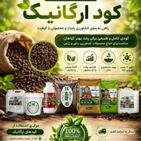 بازاریابی و کارآفرینی