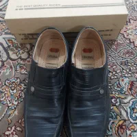 کفش مردونه